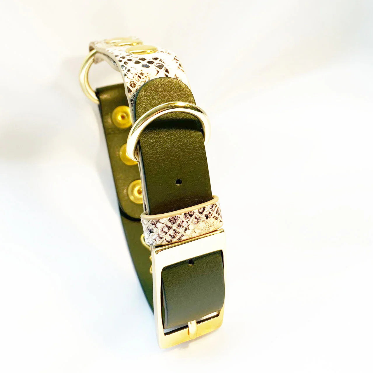 Veganes Hunde Halsband Kaktusleder oliv und Oceanplastic in Snakeoptic mit goldenen Metallaccessoires