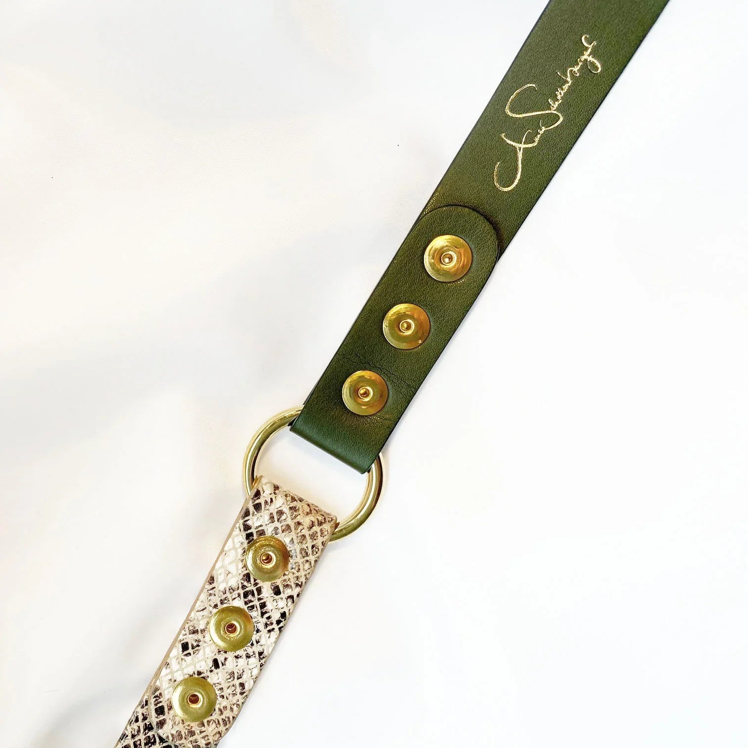 Veganes Hunde Halsband Kaktusleder oliv und Oceanplastic in Snakeoptic mit goldenen Metallaccessoires