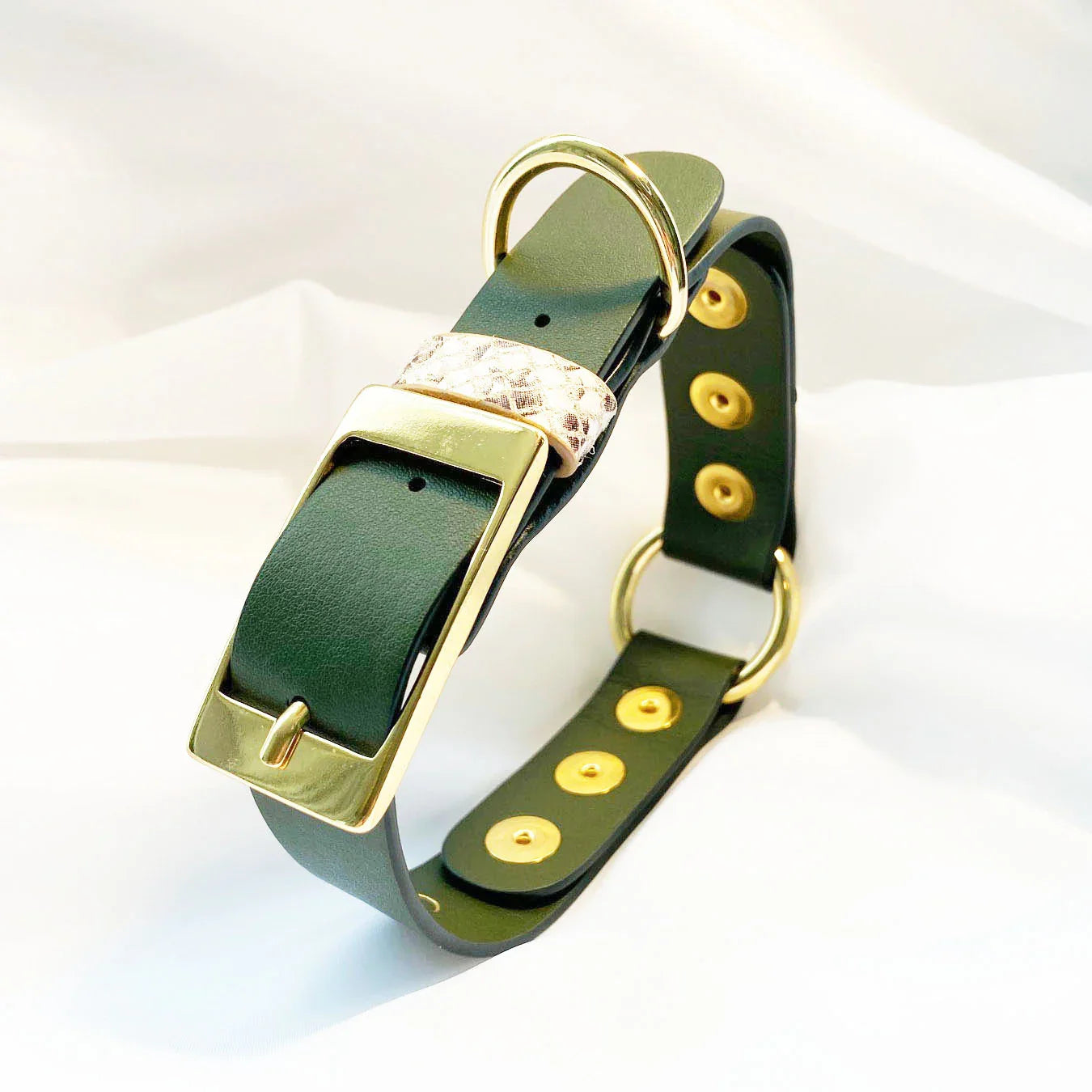 Veganes Hunde Halsband Kaktusleder oliv mit Accessoires in Snakeoptic und goldenen Metallaccessoires
