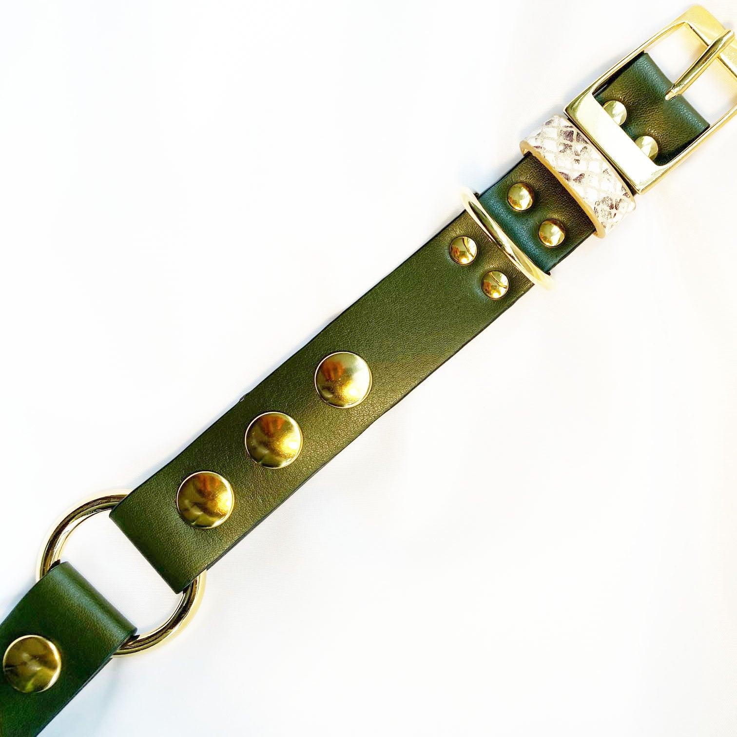 Veganes Hunde Halsband Kaktusleder oliv mit Accessoires in Snakeoptic und goldenen Metallaccessoires