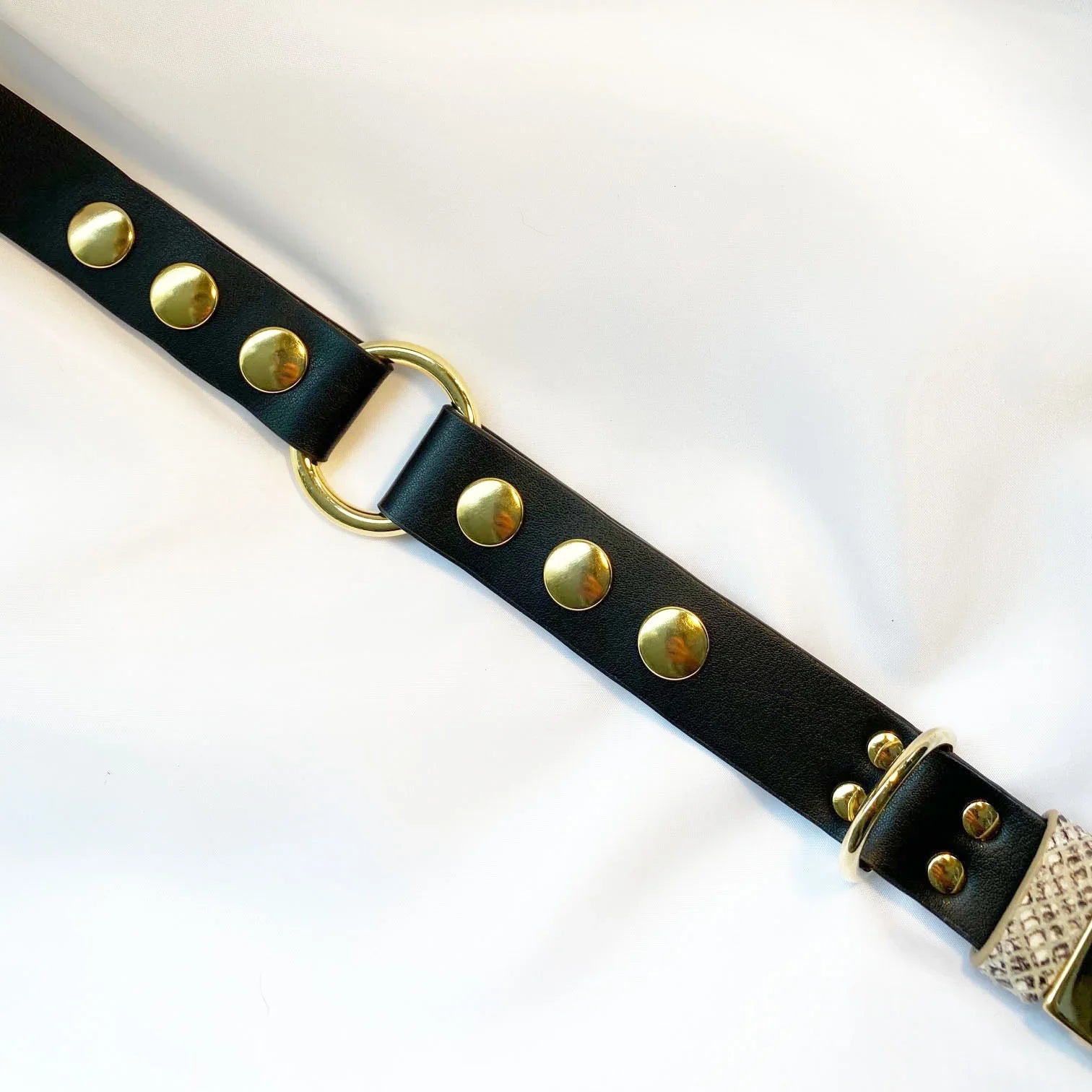 Veganes Hunde Halsband Kaktusleder schwarz und Accessoires in Snakeoptic mit goldenen Metallaccessoires