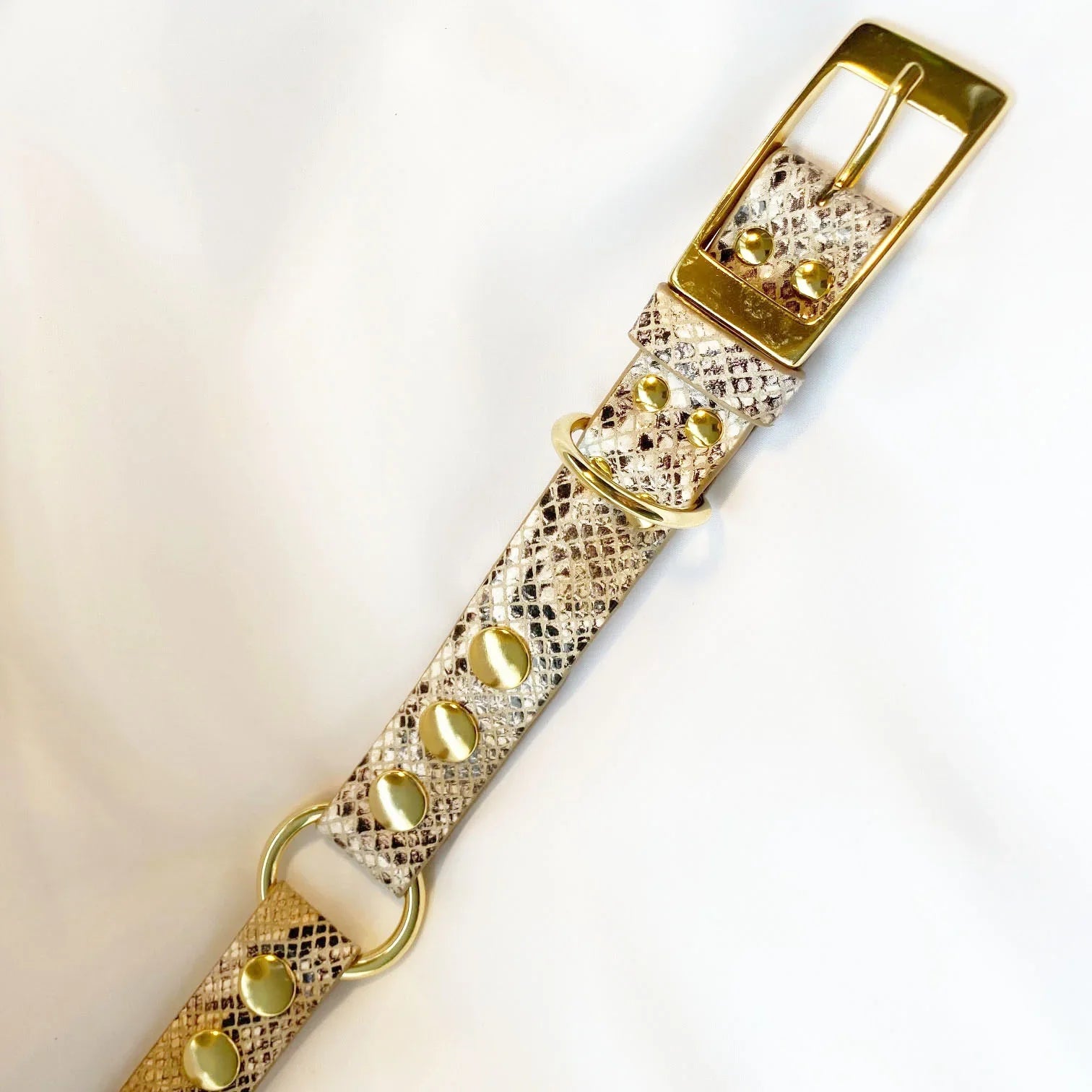Veganes Hunde Halsband Oceanplastic in Snakeoptic mit goldenen Metallaccessoires