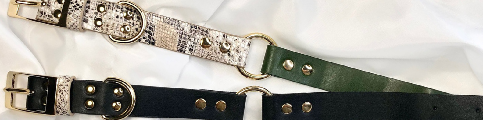 Hundehalsbänder Ethosia in schwarz und in oliv-snake