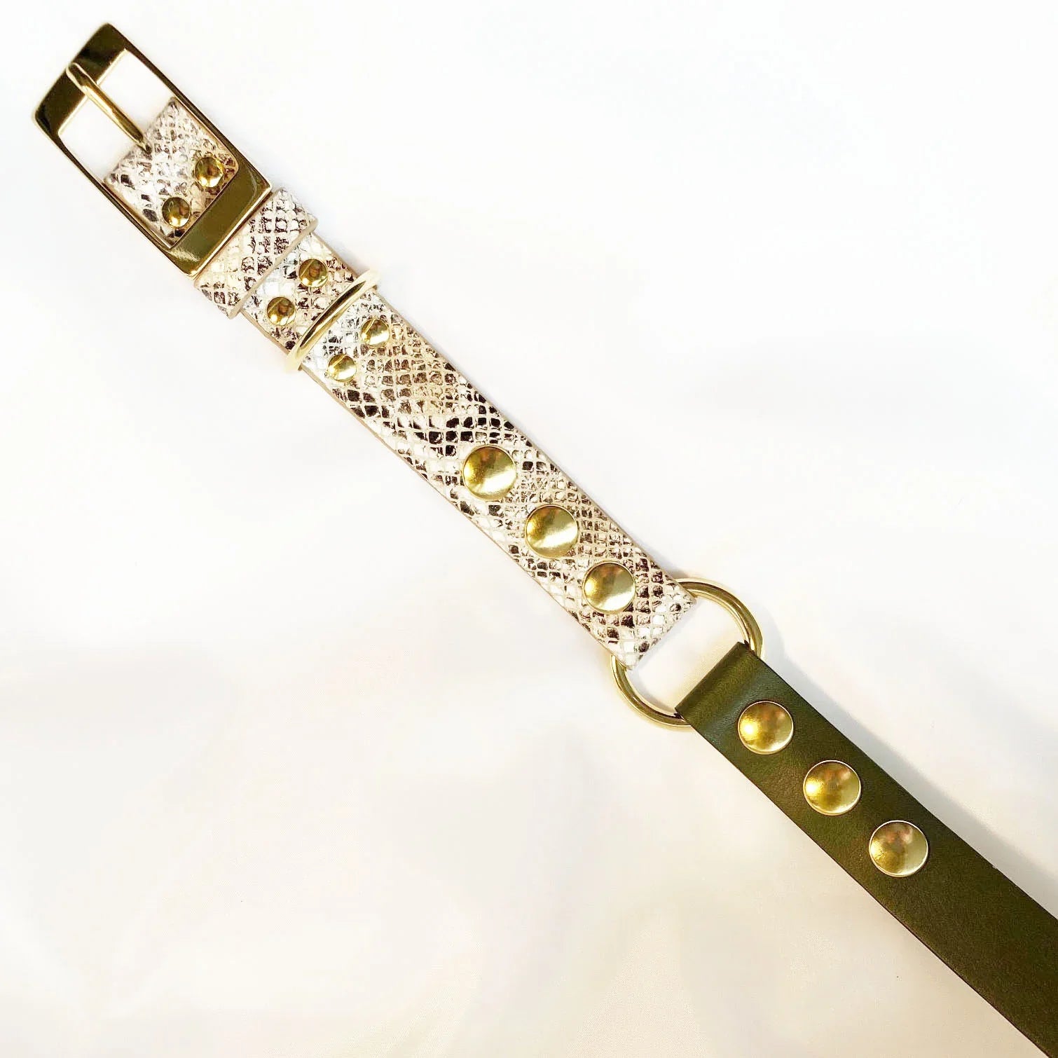 Veganes Hunde Halsband Kaktusleder oliv und Oceanplastic in Snakeoptic mit goldenen Metallaccessoires 