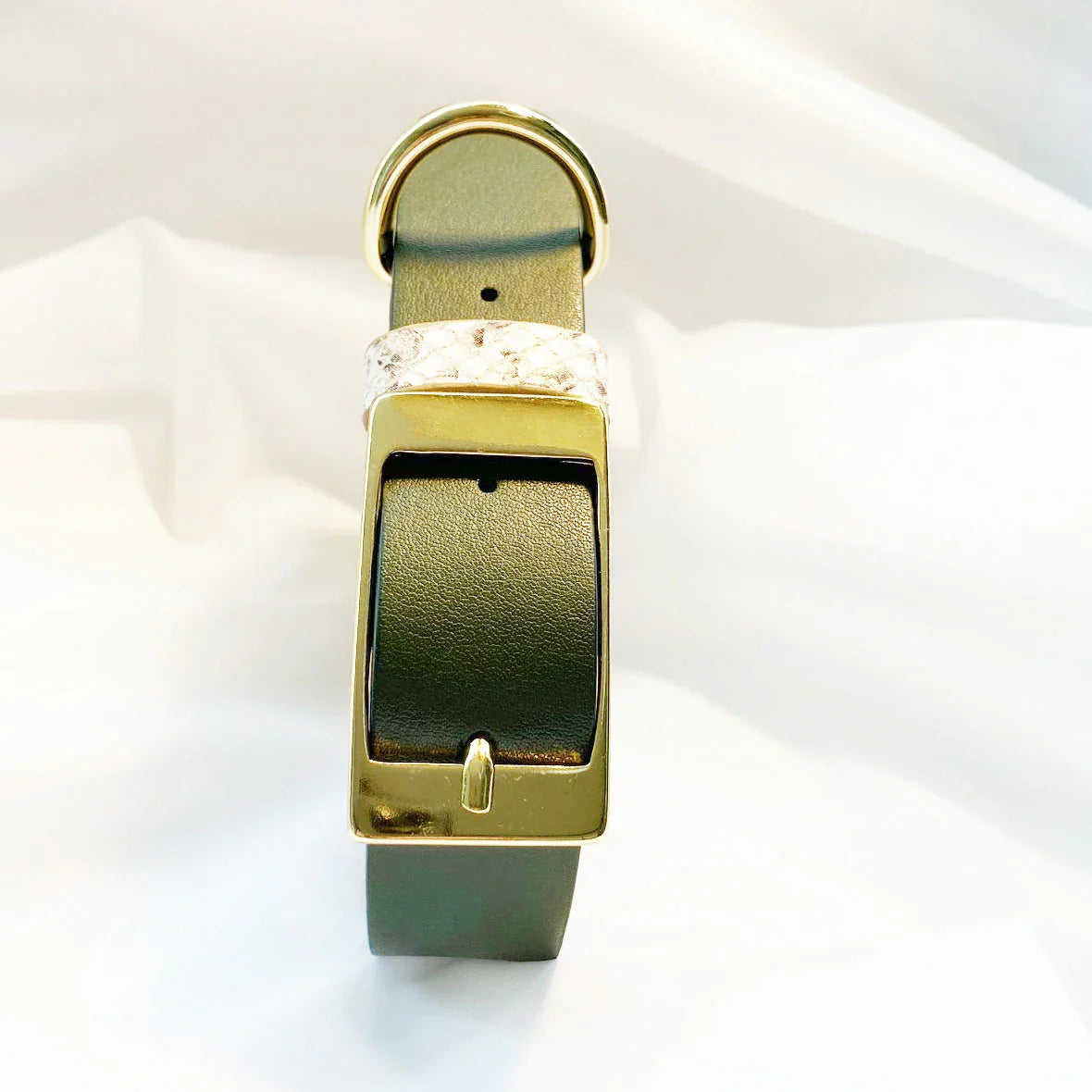 Veganes Hunde Halsband Kaktusleder oliv mit Accessoires  in Snakeoptic und goldenen Metallaccessoires 