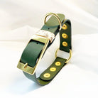 Veganes Hunde Halsband Kaktusleder oliv mit Accessoires  in Snakeoptic und goldenen Metallaccessoires 