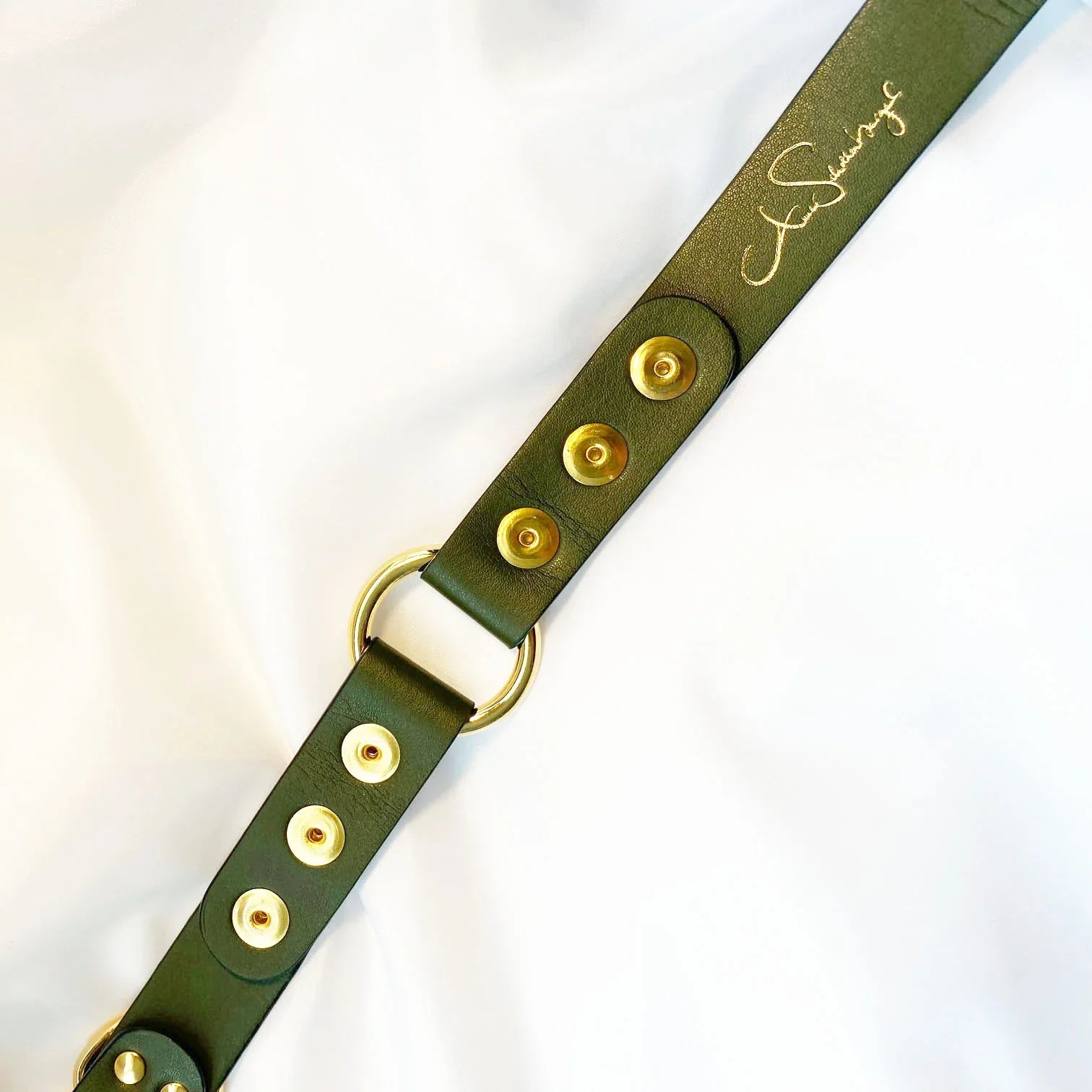 Veganes Hunde Halsband Kaktusleder oliv mit Accessoires  in Snakeoptic und goldenen Metallaccessoires 