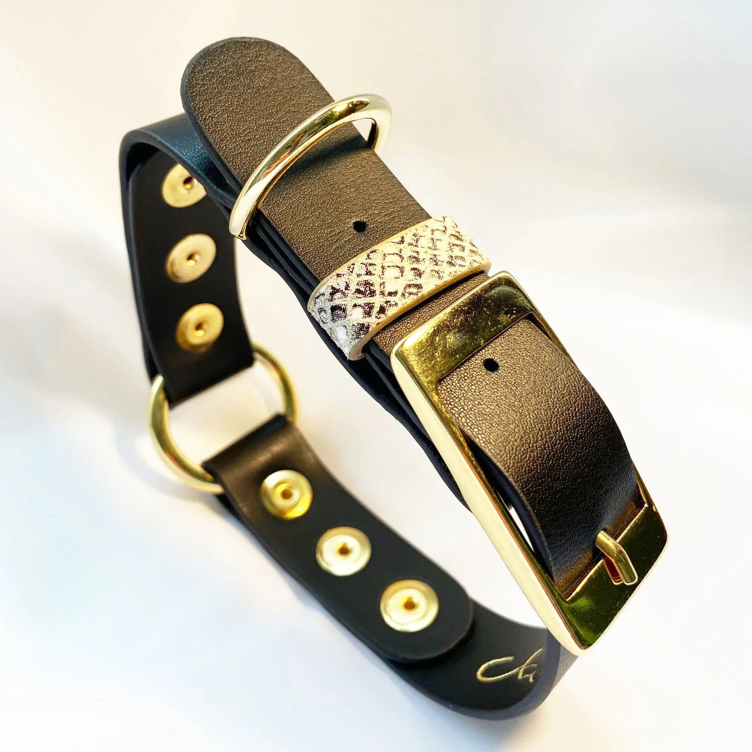 Veganes Hunde Halsband Kaktusleder schwarz und Accessoires in Snakeoptic mit goldenen Metallaccessoires 