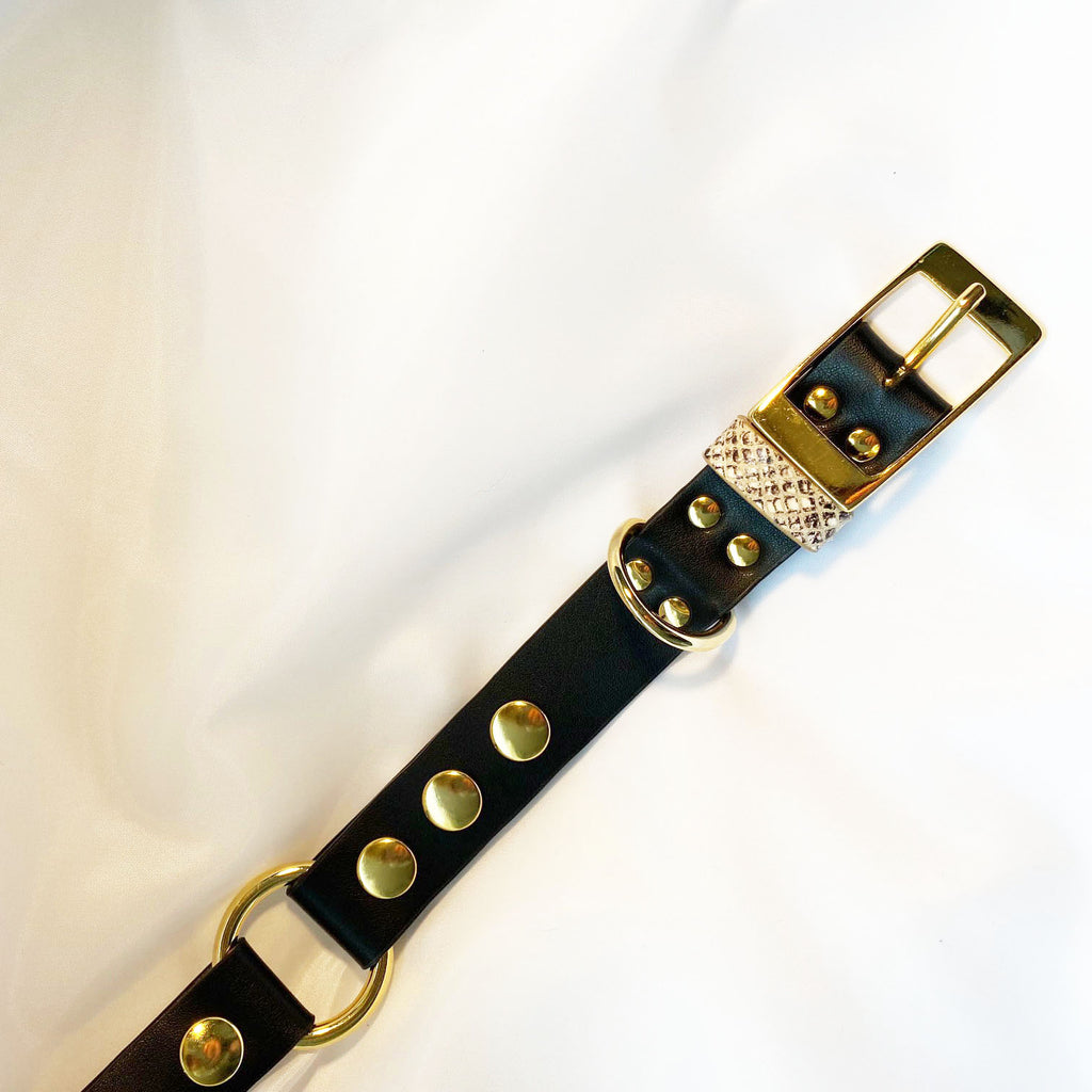 Veganes Hunde Halsband Kaktusleder schwarz und Accessoires in Snakeoptic mit goldenen Metallaccessoires 