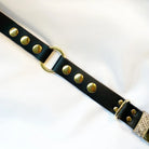 Veganes Hunde Halsband Kaktusleder schwarz und Accessoires in Snakeoptic mit goldenen Metallaccessoires 