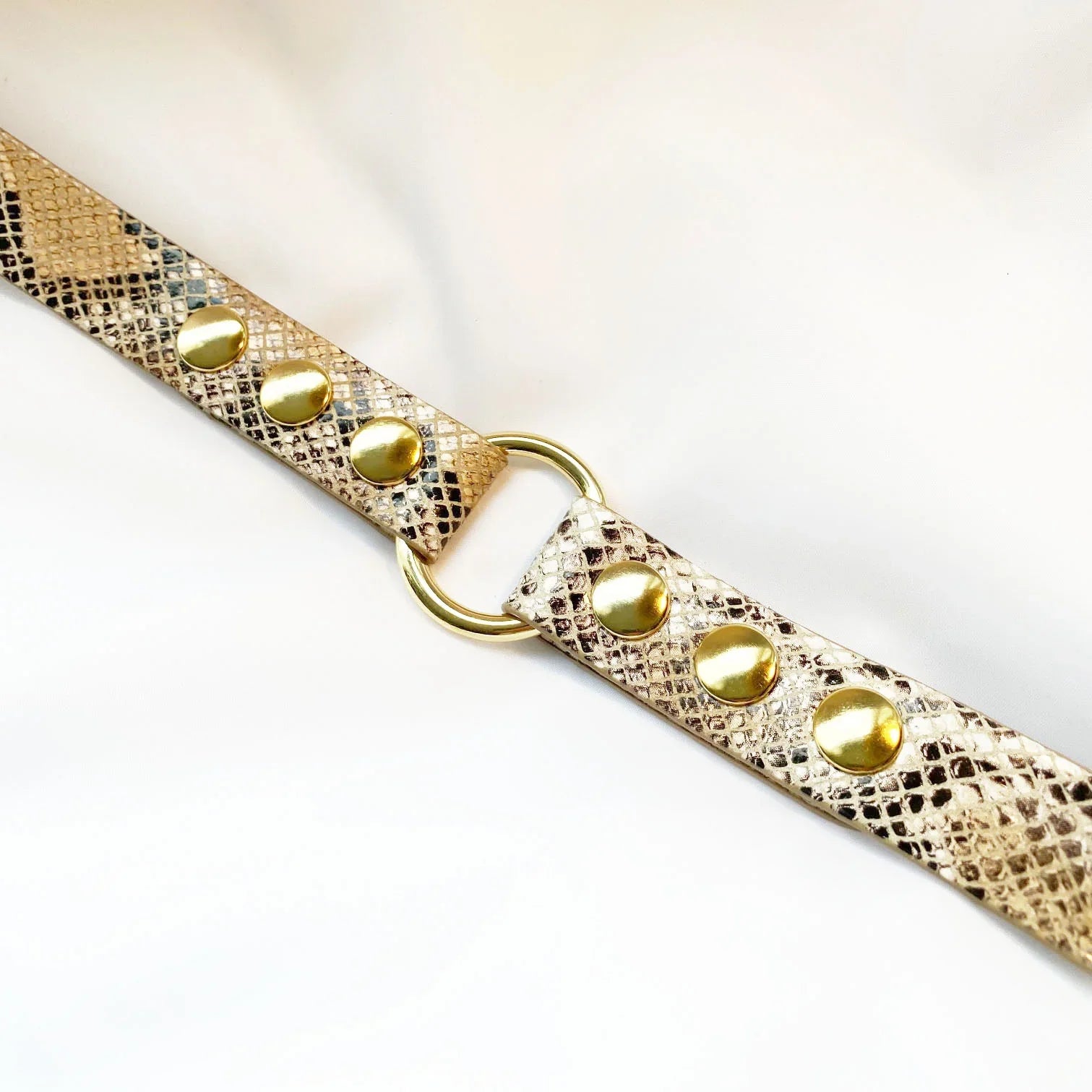 Veganes Hunde Halsband Oceanplastic in Snakeoptic mit goldenen Metallaccessoires 